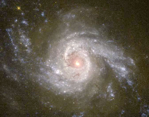 Spiral Galaxy NGC 3310 Across the Visible