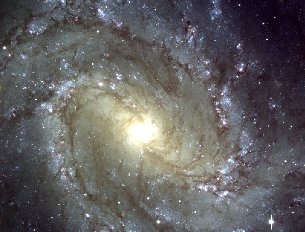 M83 The Southern Pinwheel Galaxy from VLT