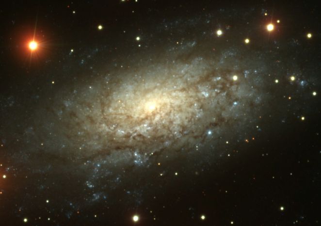 NGC 3621 Far Beyond the Local Group