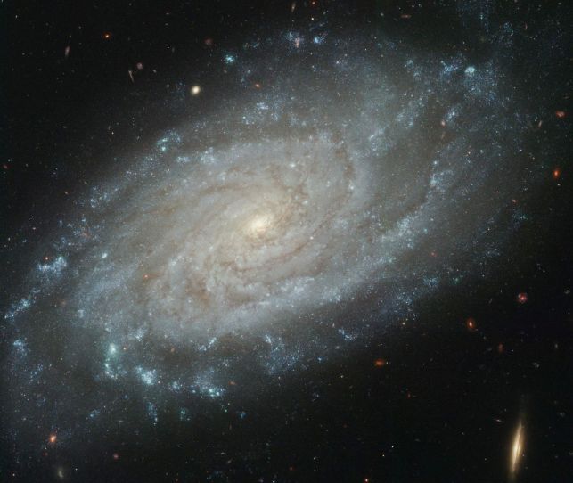 NGC 3370 A Sharper View