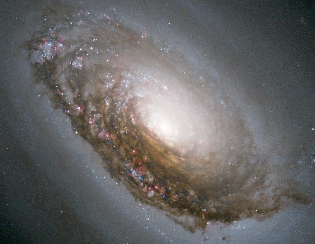M64 El Sleeping Beauty Galaxy