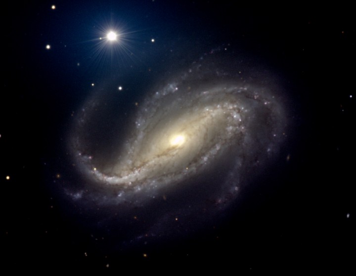 NGC 613 Espiral de Polvo y Estrellas