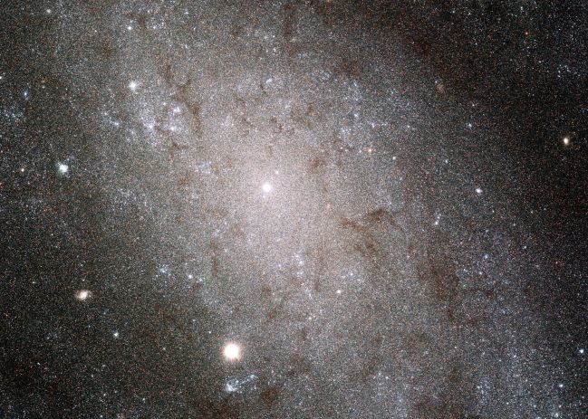 As estrelas de NGC 300