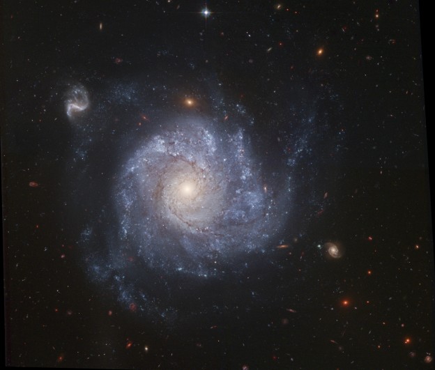 NGC 1309 e Amici