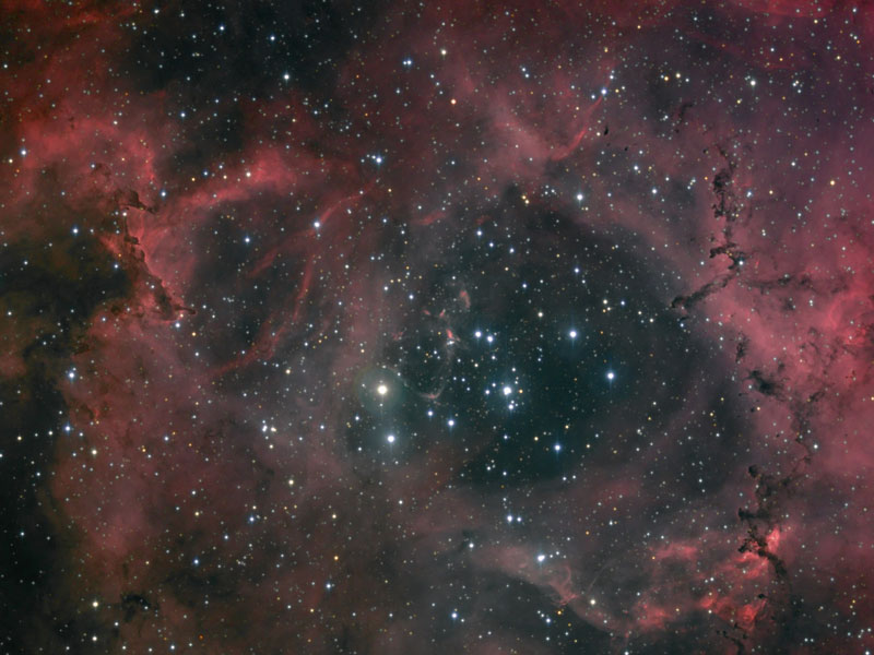 Støv og lys i Rosette Nebula
