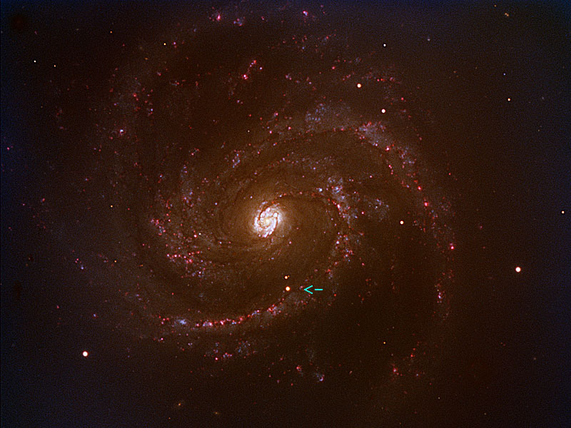cercanos Supernova en una galaxia espiral M100
