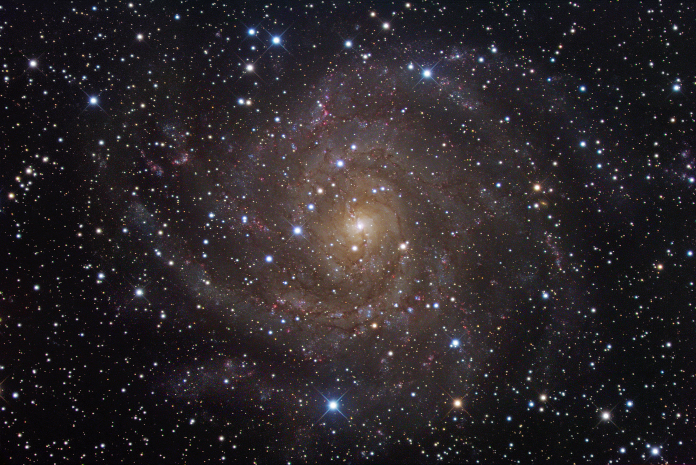 Hidden Galaxy IC 342