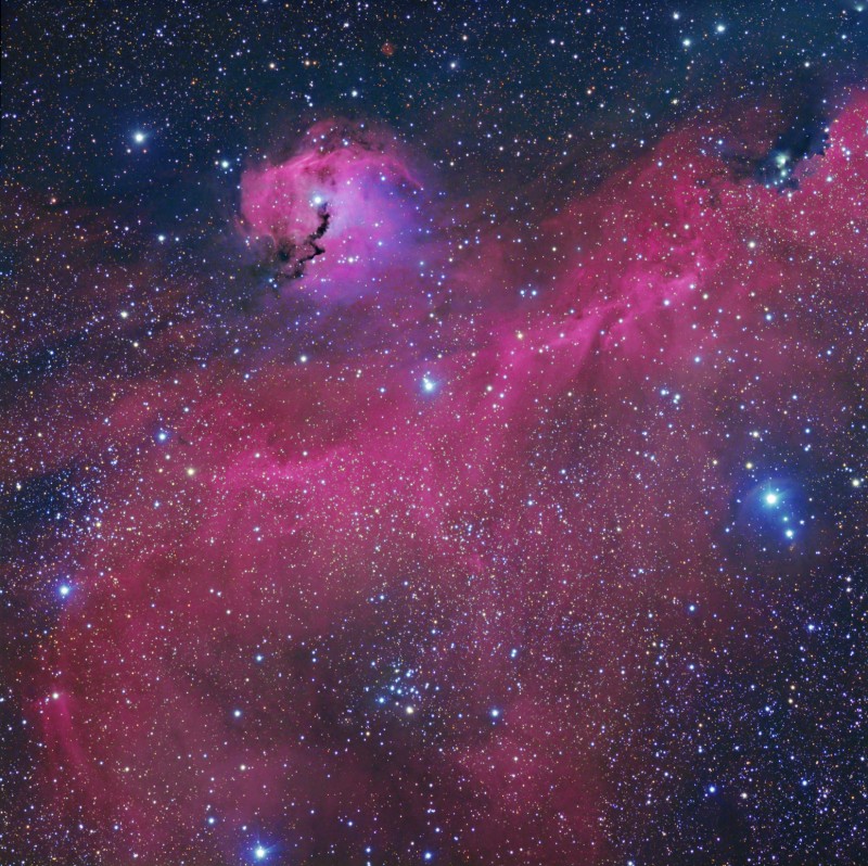 La Nebulosa de la Gaviota