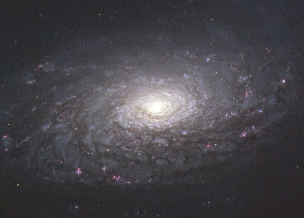 M63: La Galaxia Girasol