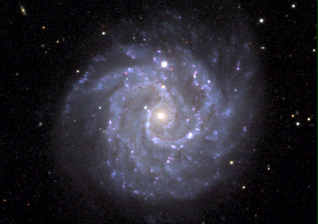 Galaxia Espiral Alargada NGC 3184