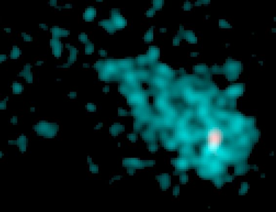 La estrella de neutornes de IC443