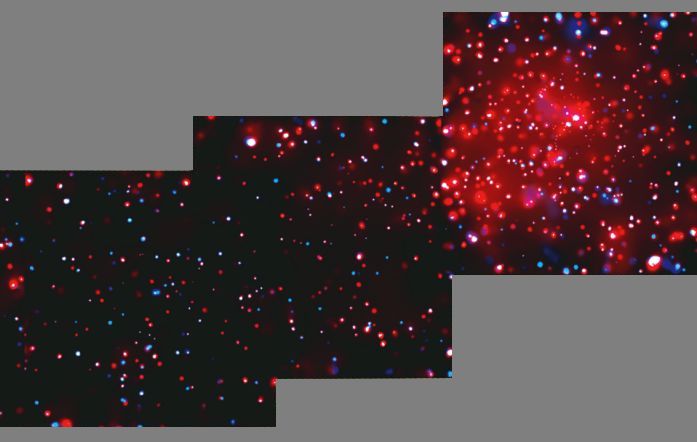 Vientos y estrellas de rayos X en la nebulosa Rosetta