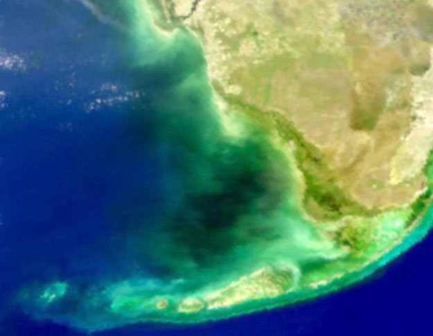Misteriosa agua negra en la Bahía de Florida