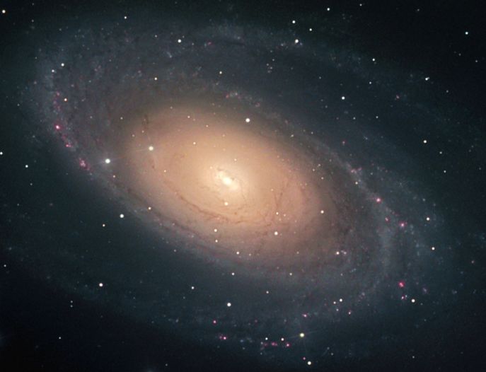 La Brillante Galaxia M81
