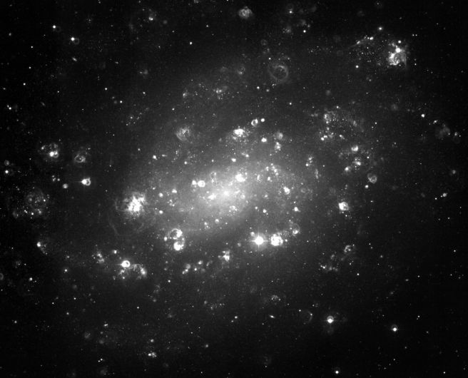 Partida de Conchas en NGC 300