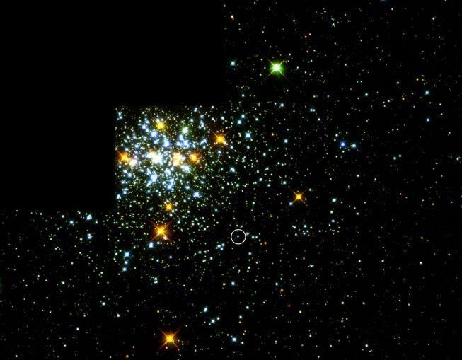 NGC 1818: Escoge una estrella