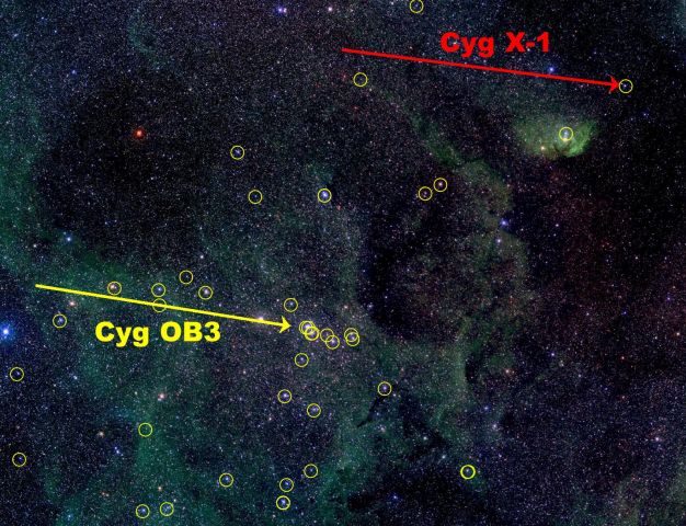 Cyg X-1: ¿Se pueden formar agujeros negros?