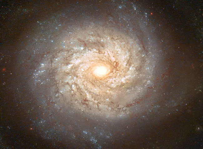 La Galaxia Espiral NGC 3982 Antes de una Supernova
