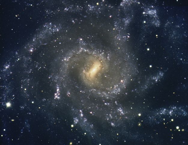 Los brazos de NGC 7424