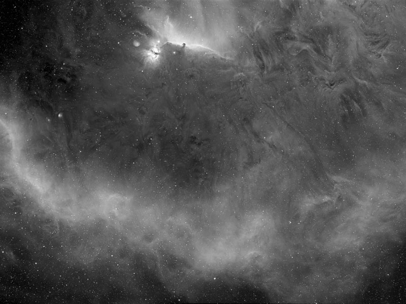El bucle de Barnard alrededor de la nebulosa «Cabeza de Caballo»