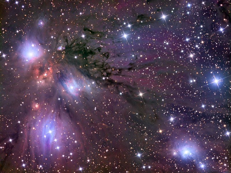 Estrellas, Polvo y Nebulosa en NGC 2170