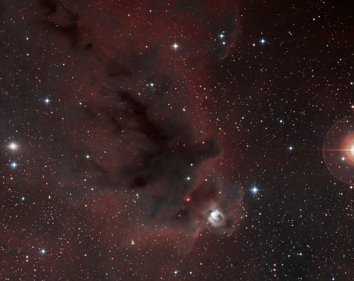 LDN 1622: Nebulosa oscura en Orion