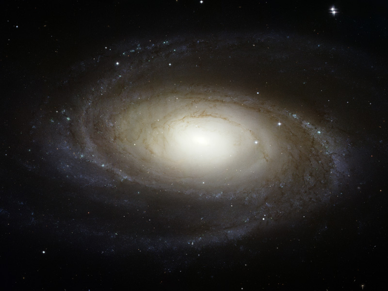 La brillante galaxia espiral M81 por Hubble