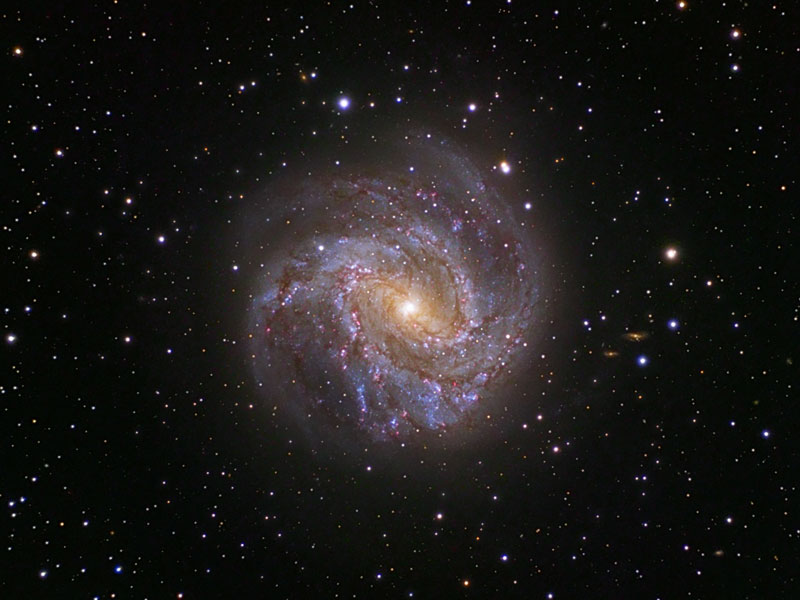 Galaxia Espiral M83: El Molinillo Austral