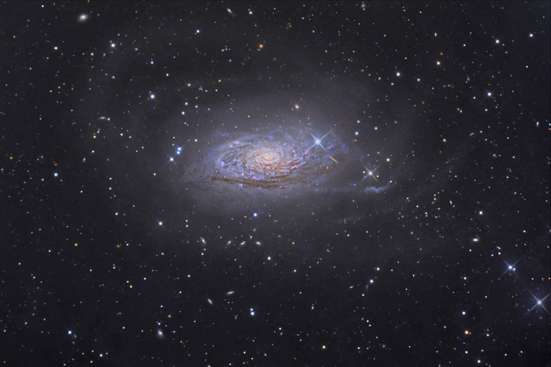 Messier 63: la galaxia Girasol