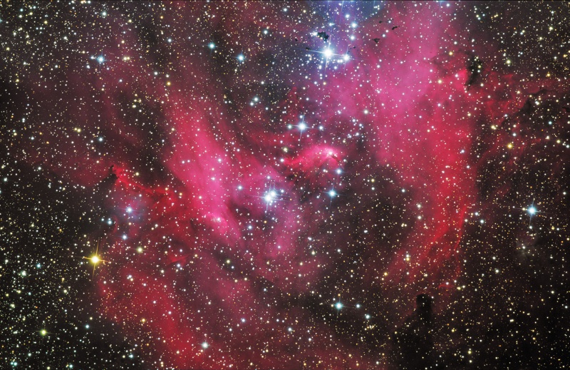 IC 2948: la nebulosa de la gallina corredora