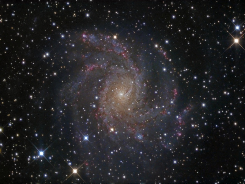 NGC 6946 de frente