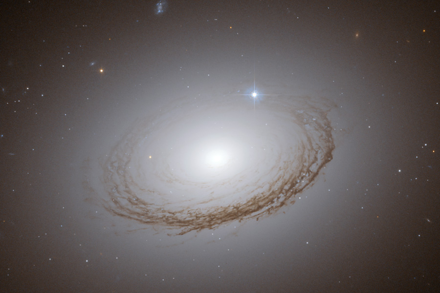 Rara galaxia polvorienta NGC 7049