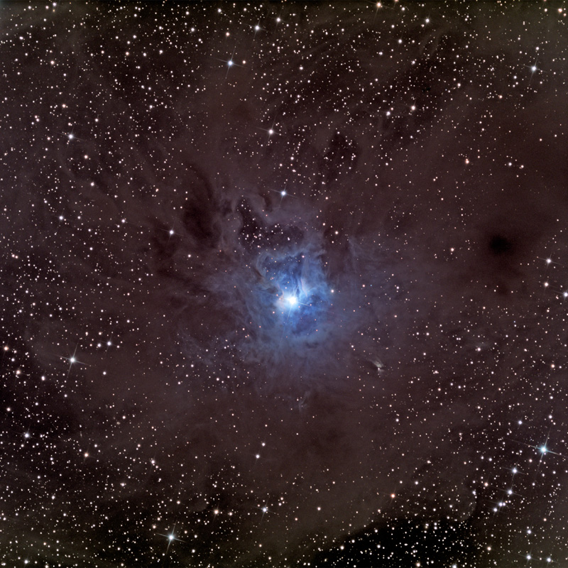 Una polvorienta Nebulosa del Lirio