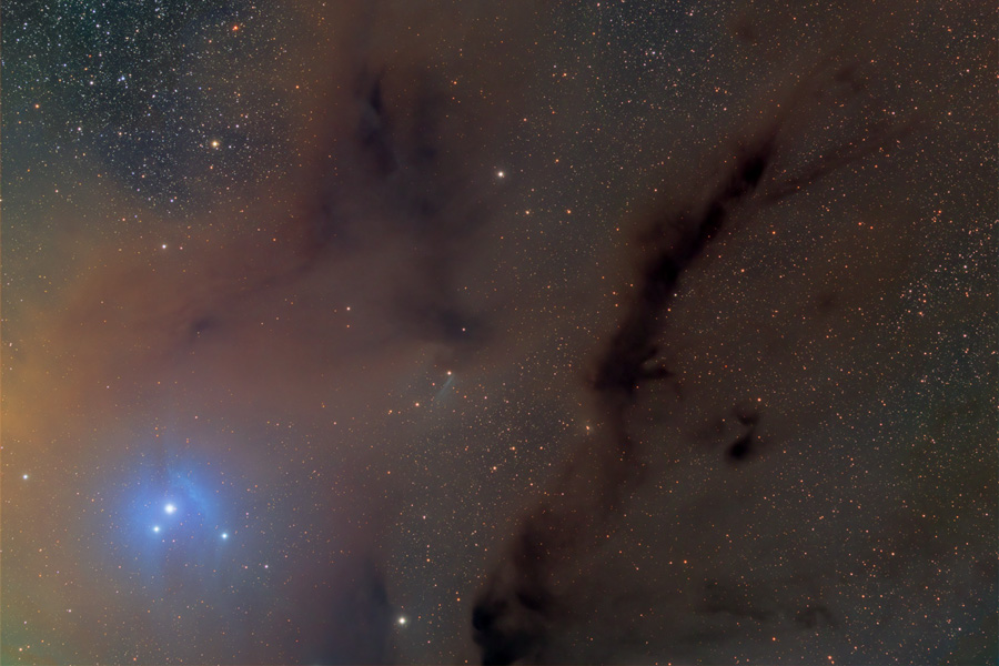 Nebulosas oscuras manando cerca de B44