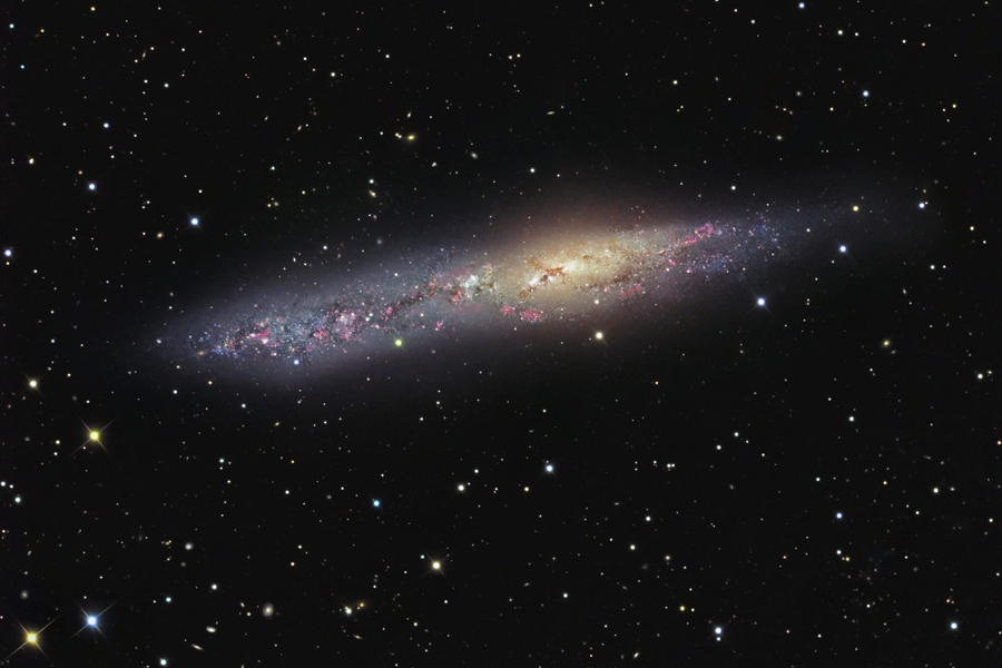图片说明：NGC 55，点击查看大图，版权：Don Goldman 