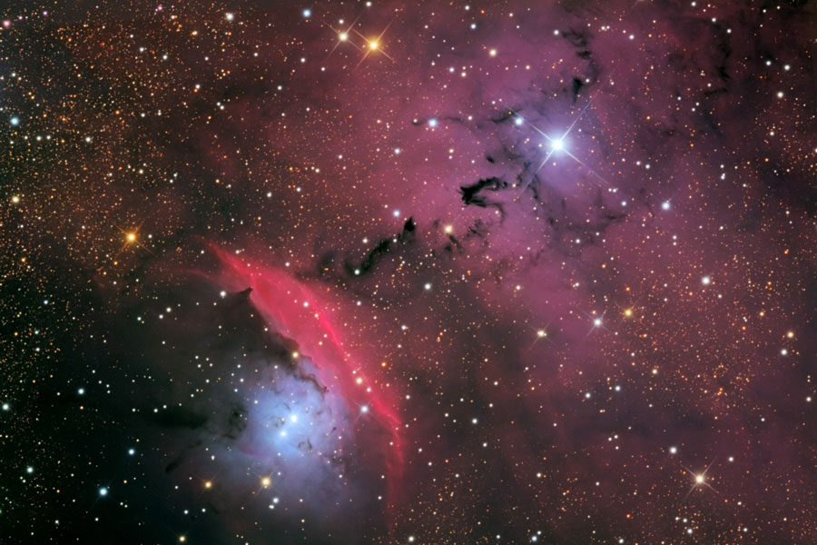 Estrellas, polvo y nebulosa en NGC 6559