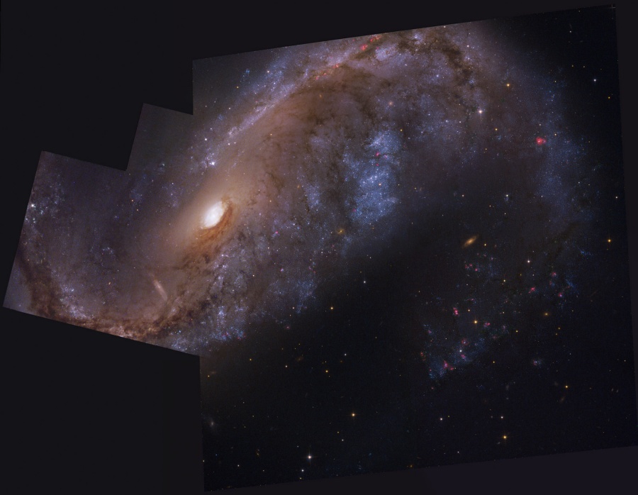 NGC 2442: galaxia en Volans
