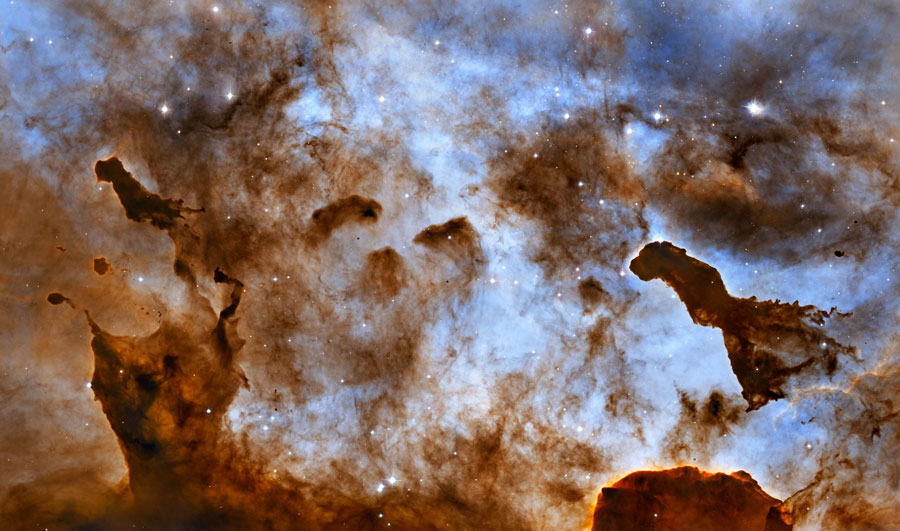 Las nubes oscuras de la Nebulosa Carina