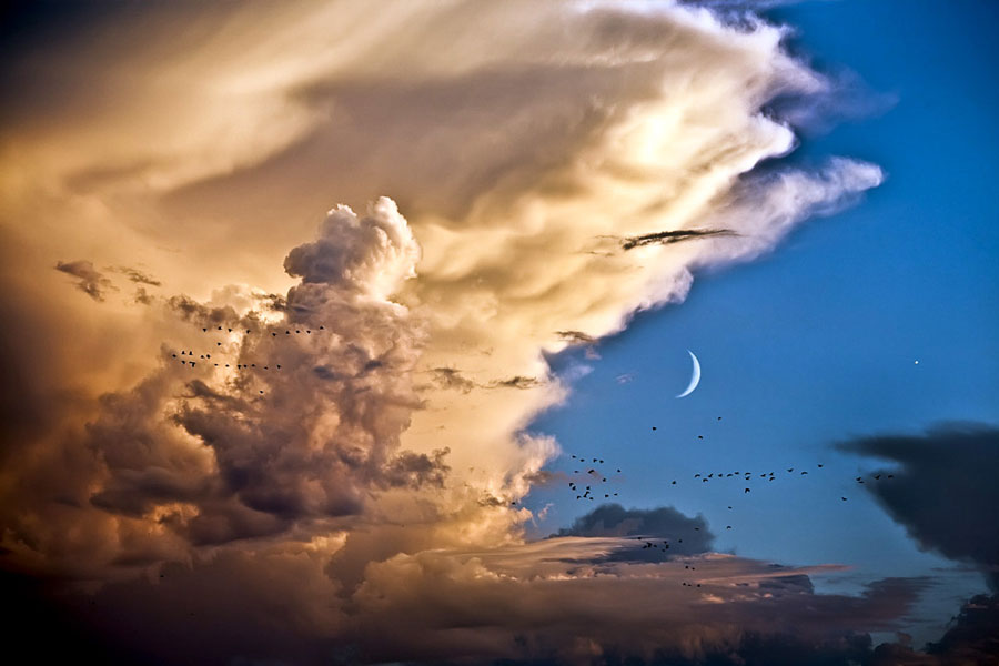 Nubes, pájaros, Luna, Venus
