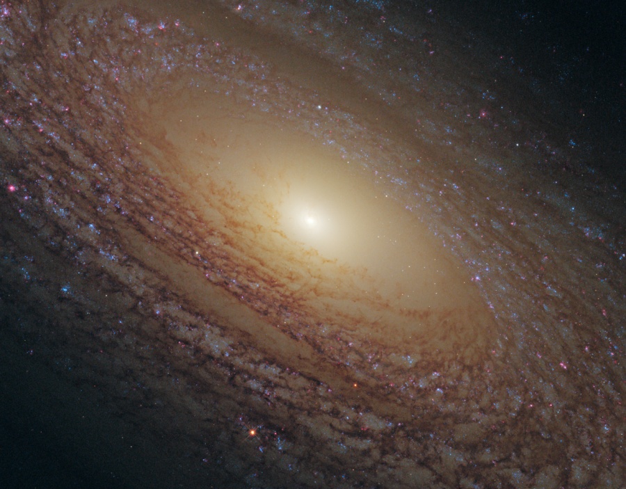 Detalle de la Galaxia Espiral NGC 2841