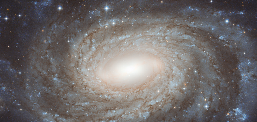 NGC 6384: Espiral más allá de las estrellas