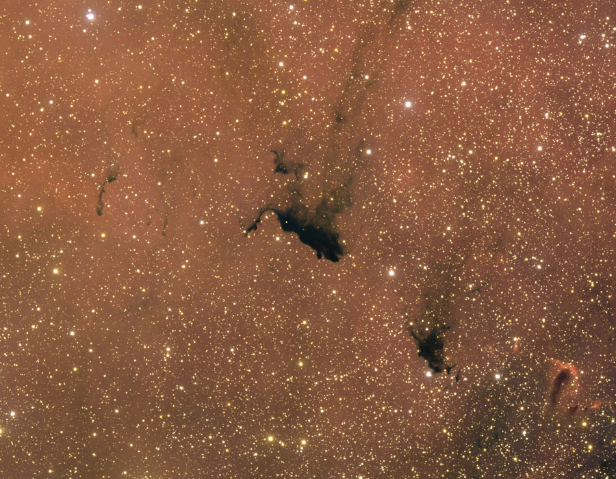 Nube Molecular Barnard 163
