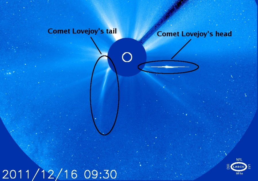 El cometa Lovejoy roza el Sol pero sobrevive