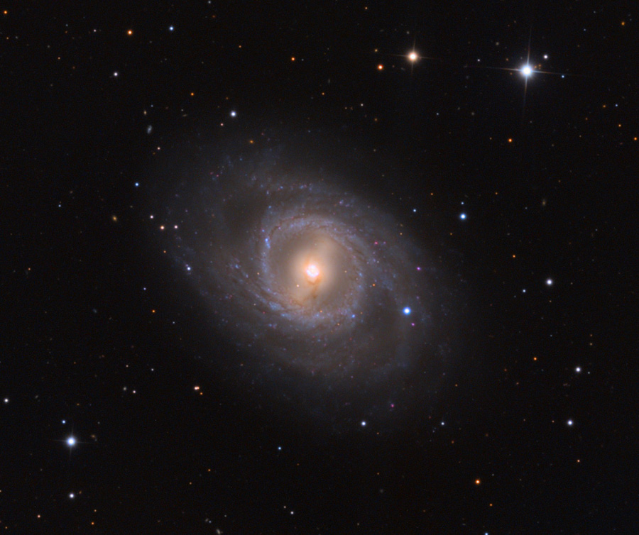 M95 con supernova