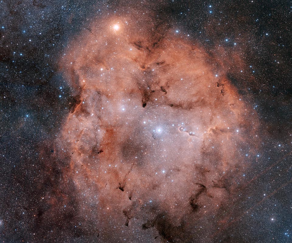 IC 1396: nebulosa de emisión en Cepheus