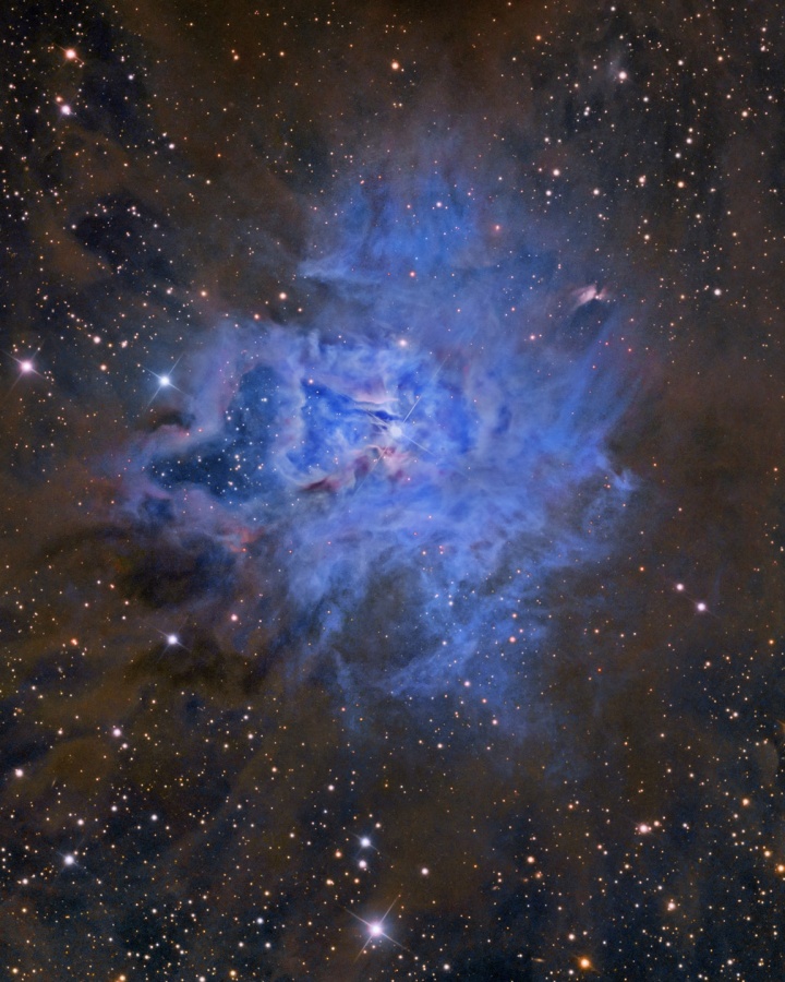 NGC 7023: la nebulosa Iris