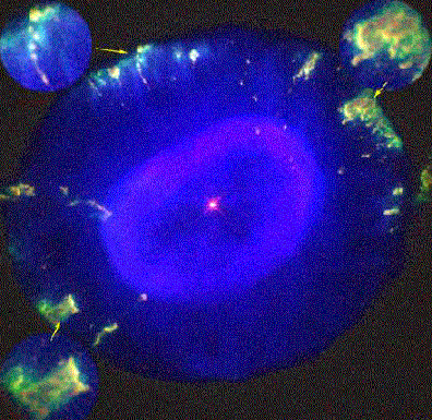 Fliers alrededor de la nebulosa «Bola de Nieve» Azul