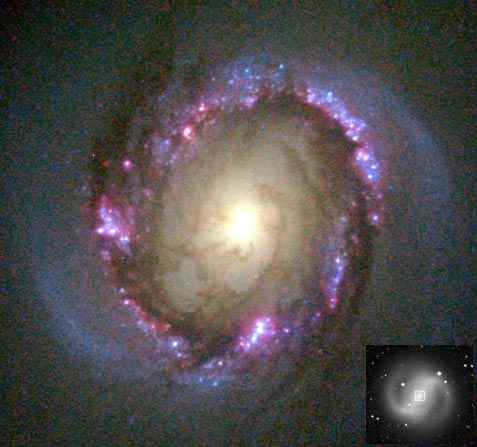 NGC 4314: un anillo central de formación estelar