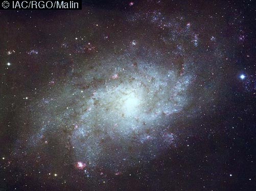 La cercana espiral M33