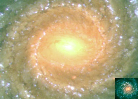 Galaxia Espiral NGC 1232